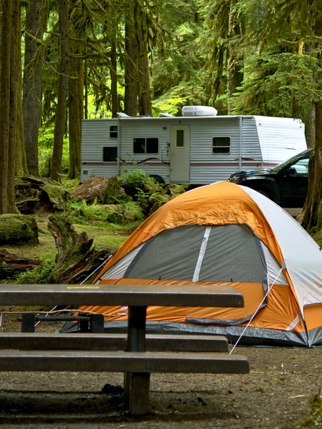 Você Está Pronto Descubra os 6 Segredos Que Todo Campista Deveria Saber (4)