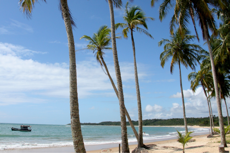 Praia dos Coqueiros Trancoso