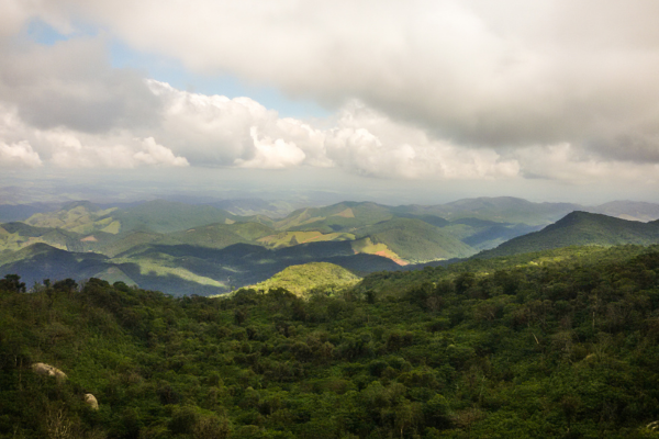 Monte Verde